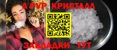 спиды Бийск