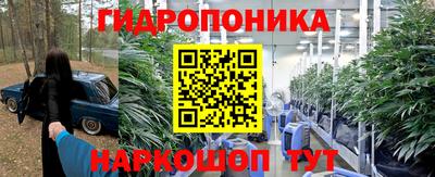 спиды Бийск